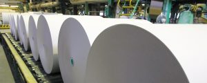 Roll of paper in a paper factory